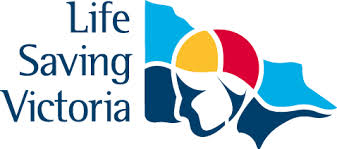 LSV Logo