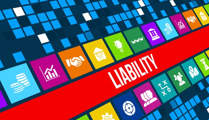 Liability Article